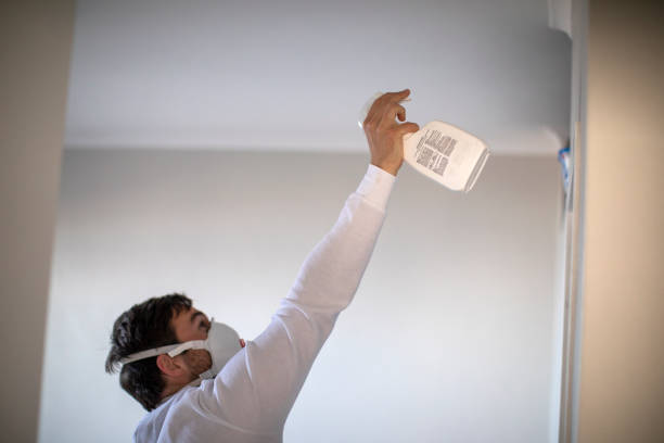 Office Mold Removal Services in Zephyrhills West, FL
