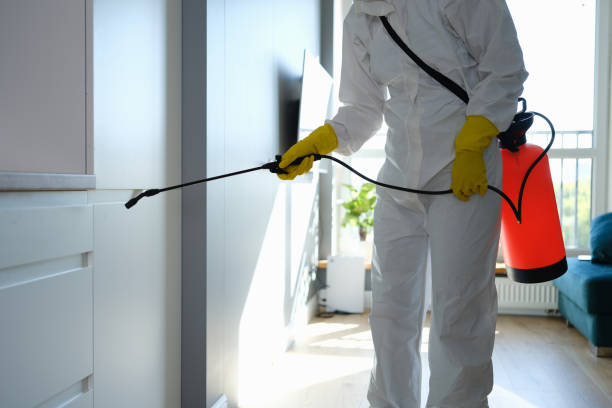 Best Toxic Mold Removal  in Zephyrhills West, FL